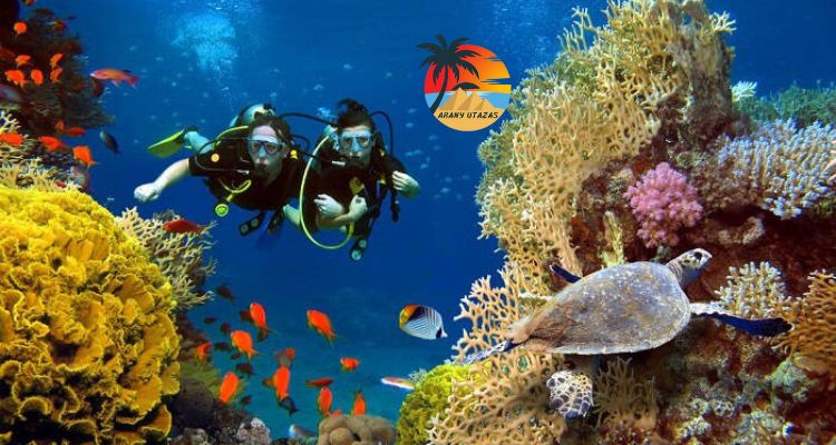 Búvárkodás Hurghada Diving 35€
