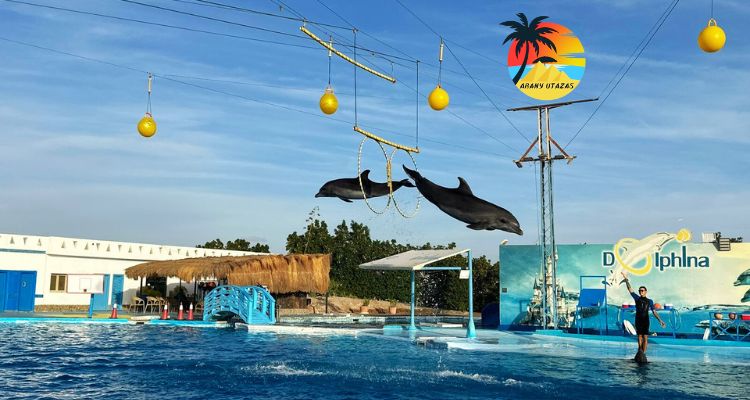 Delfinárium Hurghada Delfin Show