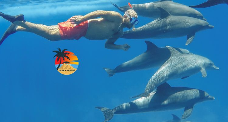Delfinúszás Hurghada